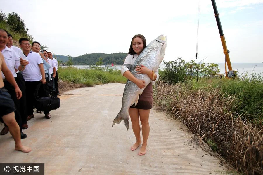 3D捕鱼游戏，沉浸式深海捕鱼体验